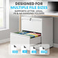 SIMPLI-MAGIC 2 Drawer Metal File Cabinet with Lock, Home Office, White